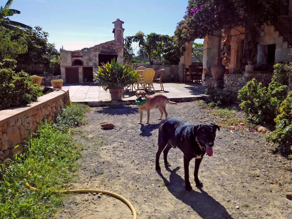 Can Juanito * Porto Cristo